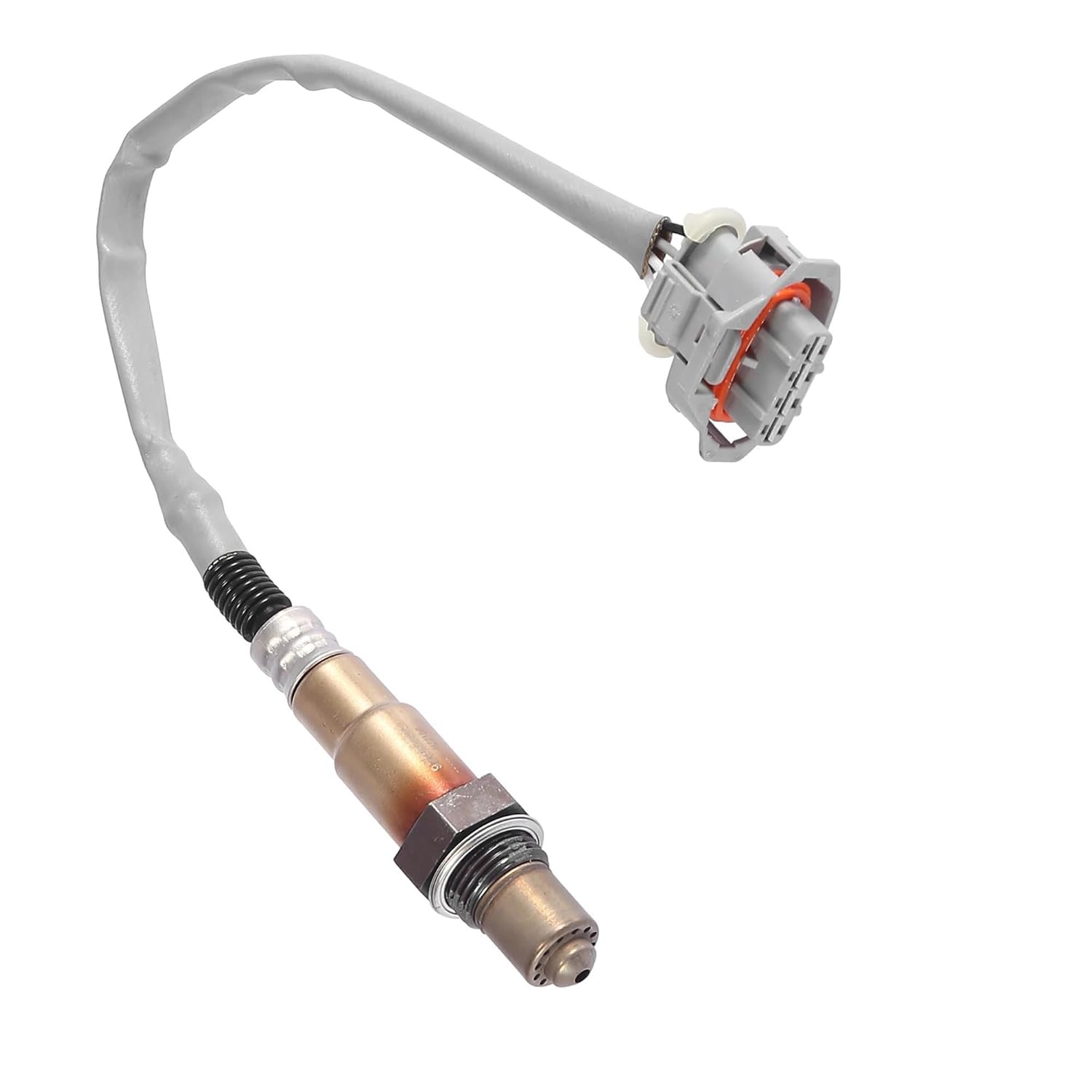 曹操 SP170078-C238 ｜ アマズフィット(Amazfit) - 腕時計のななぷれ